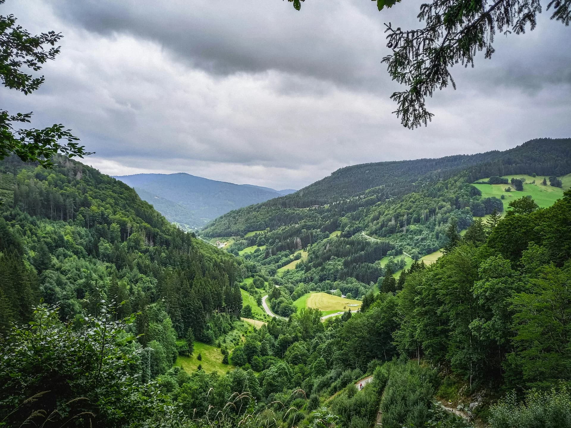 Blick von einem bewaldeten Hang über ein Schwarzwaldtal: Nadelwald, Wiesenhänge, eine sich windende Talstraße und dahinter gestaffelte Höhenzüge unter bewölktem Himmel