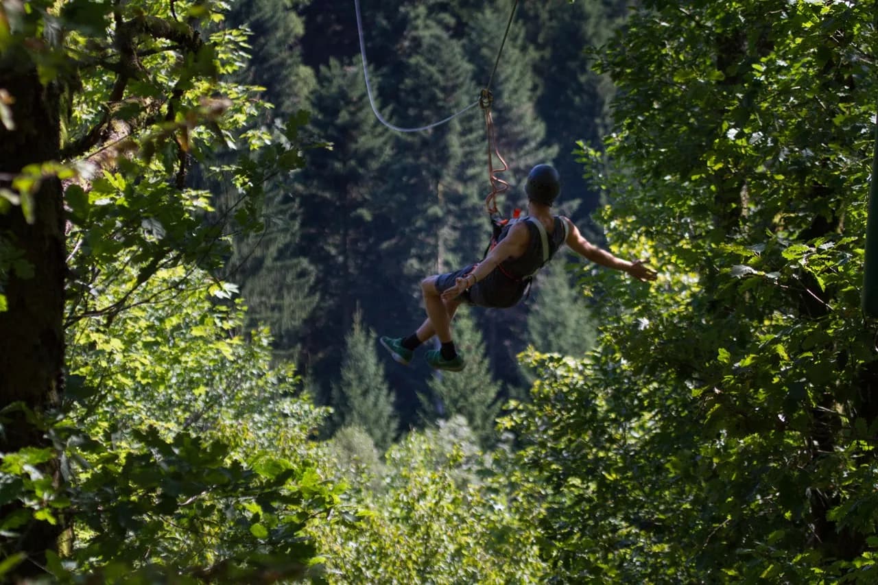 Eine Person mit Helm und Klettergurt gleitet an einer Zipline durch eine Lücke im Laubwerk über ein bewaldetes Tal, im Hintergrund dichter Nadelwald